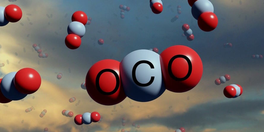 remove CO2 from the planet's atmosphere